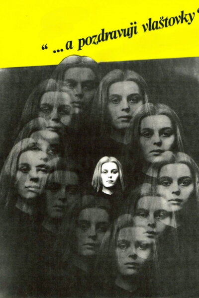 …a pozdravuji vlaštovky