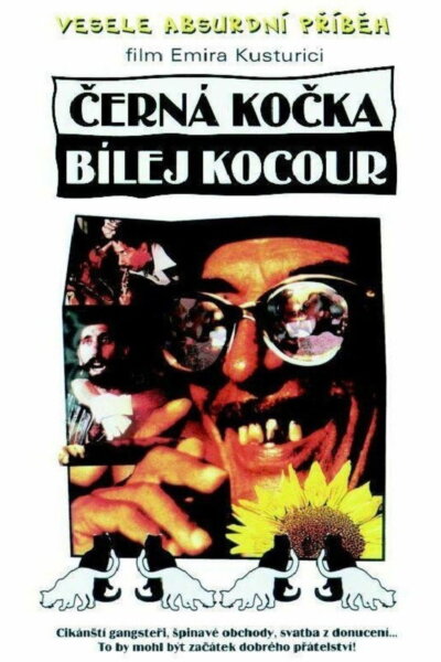 Černá kočka, bílý kocour