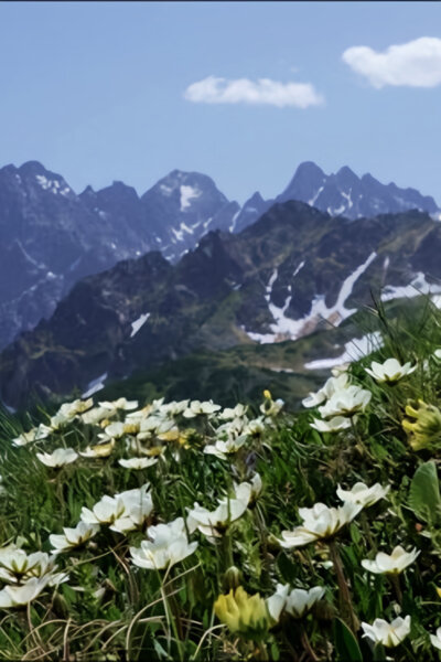 Hohenlohe – kníže Tater