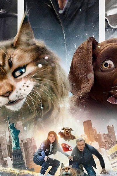 Kočka a pes: Šílené dobrodružství