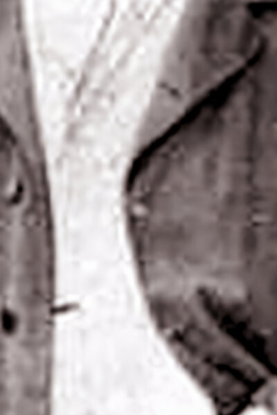 Louis Le Prince: Odložený případ