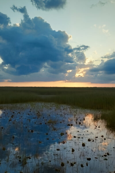 Mokřady: Pomíjivé oázy