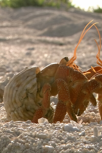 Nejdivočejší místa naší planety