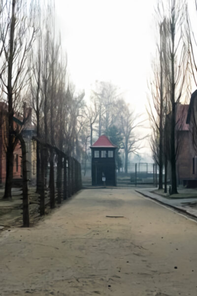 Osvětim: Muž uvnitř