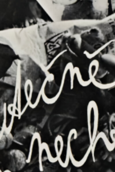 Písničky Divadla na Provázku