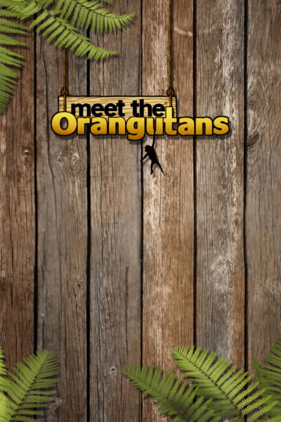 Setkání s orangutany