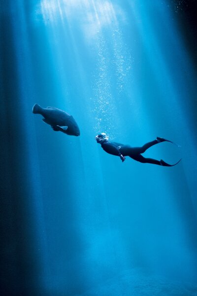 Tajomstvo Modrej zátoky