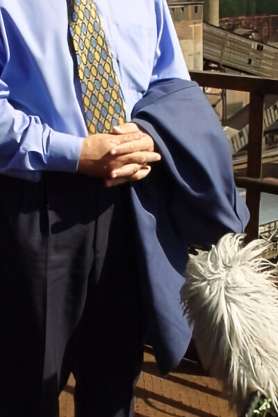 Zpráva z Černé díry