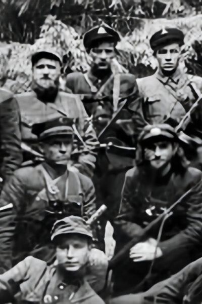 Lesní bratři: Bojovníci proti Sovětskému svazu