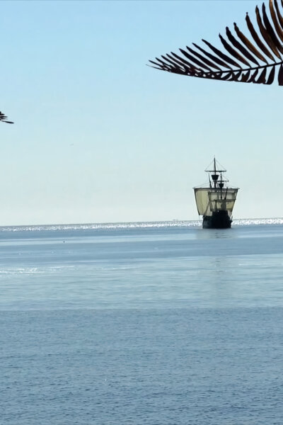 Magalhãesův divoký svět