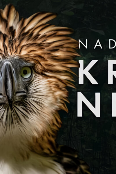 Naděje pro krále nebes