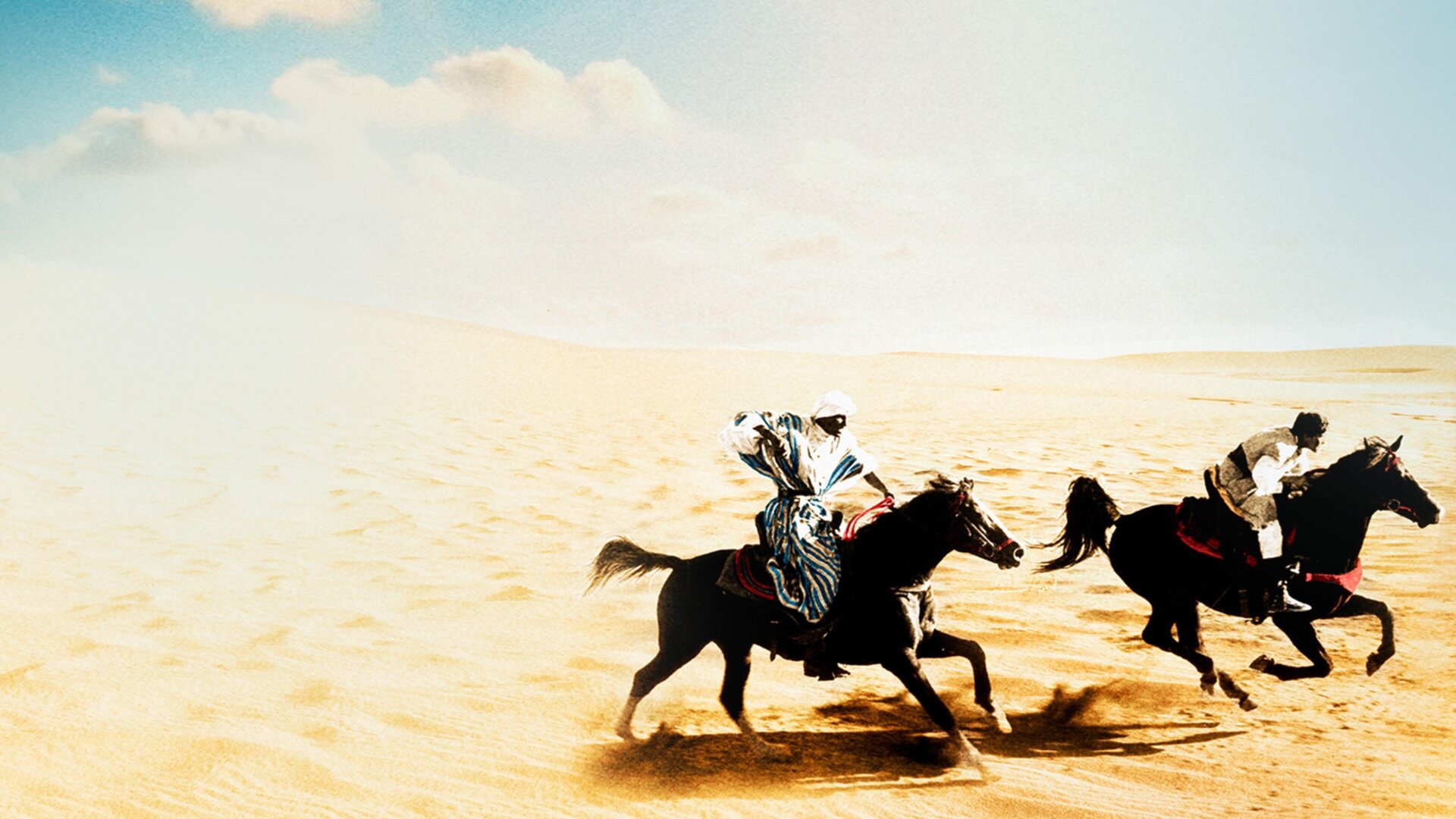 Návrat černého hřebce