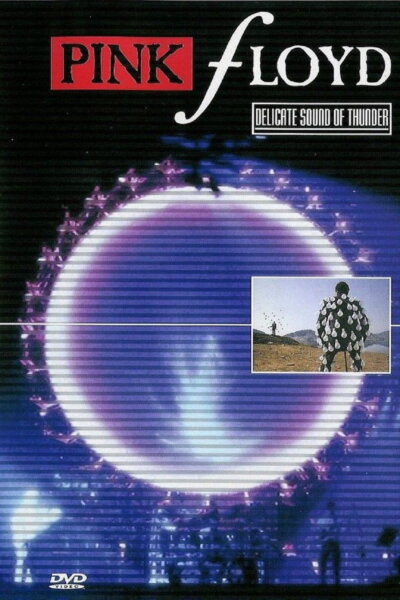 Pink Floyd – Delicate Sound of Thunder