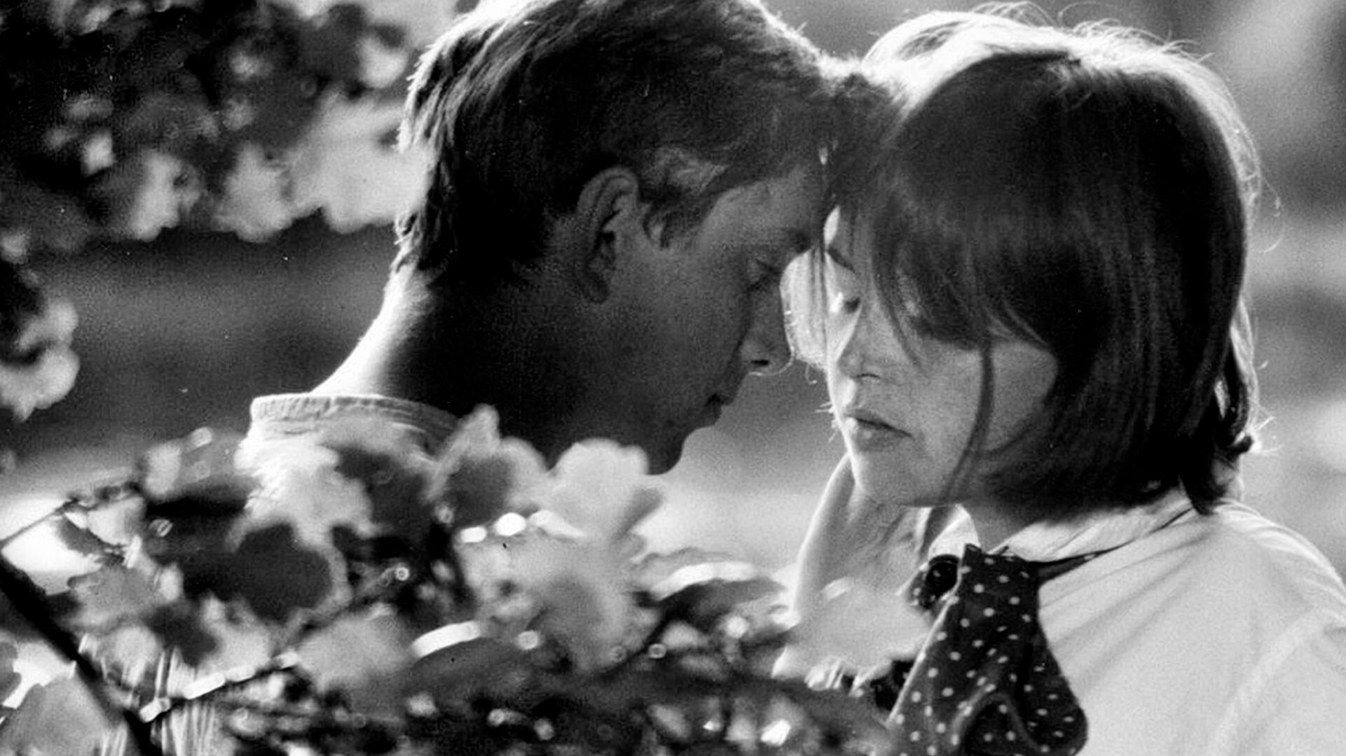 Romance pro křídlovku