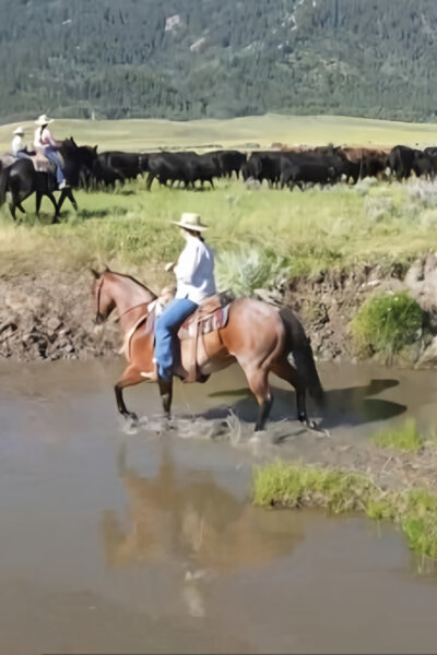 Střet o novou Ameriku