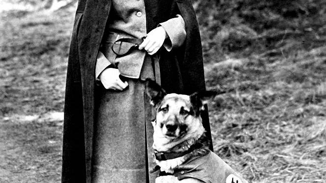 Ženy pod Hitlerovou vlajkou