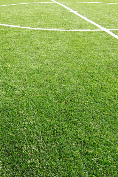 Fußball: Bundesliga der Frauen