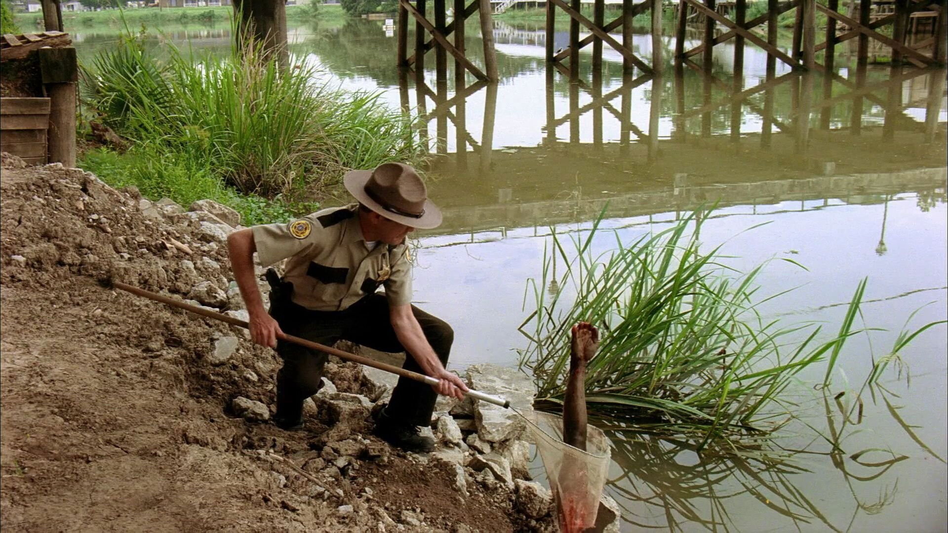 Nebezpečný žralok