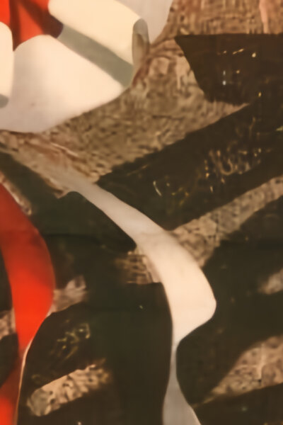 Revoluční rok 1848