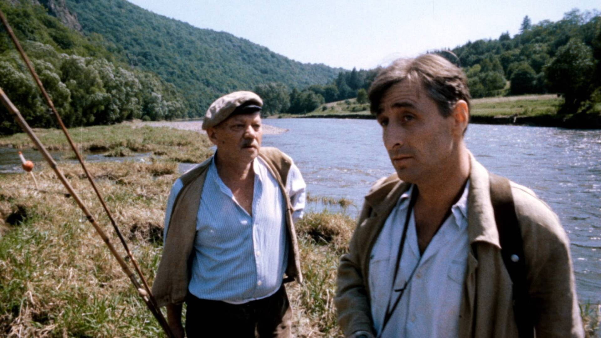 Smrt krásných srnců