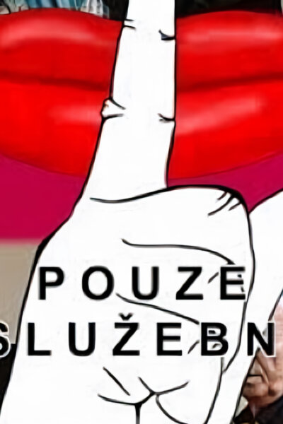 Tajemství pouze služební