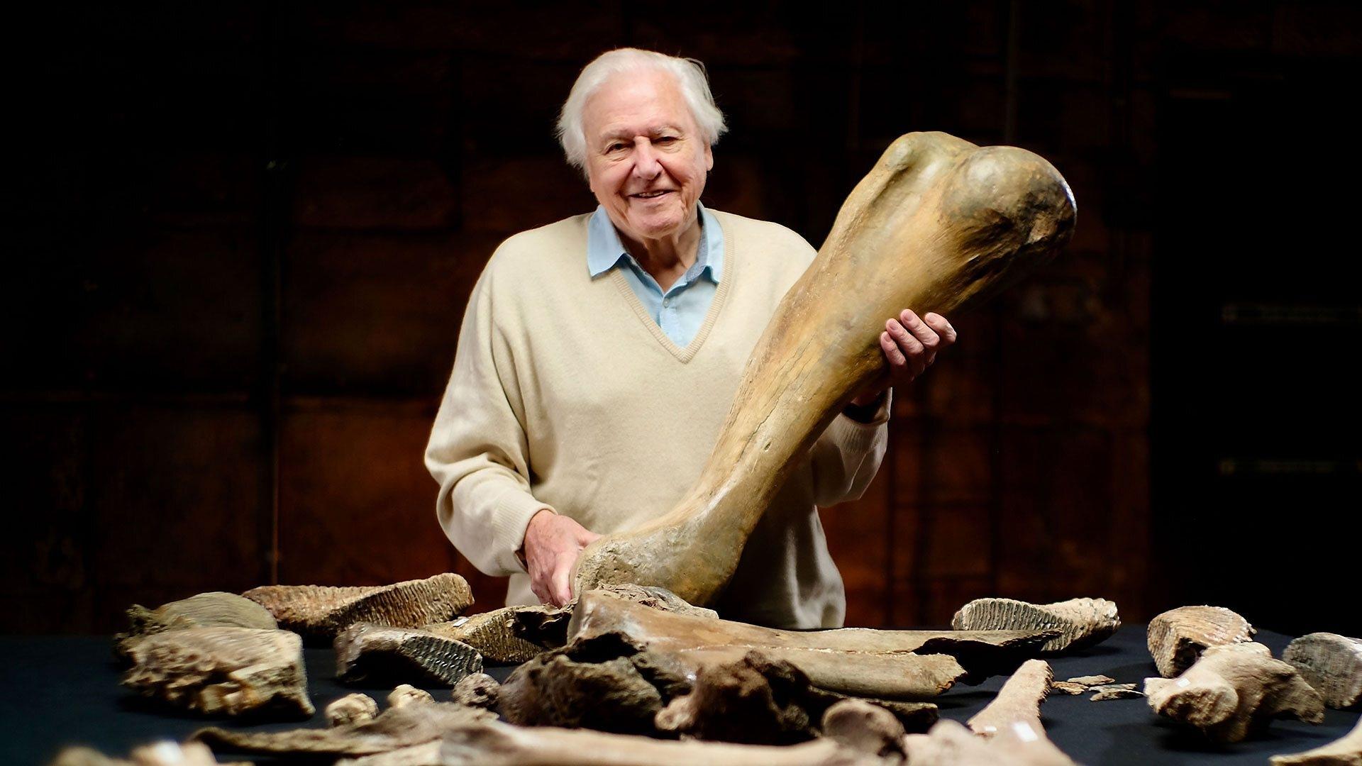 Attenborough a pohřebiště mamutů