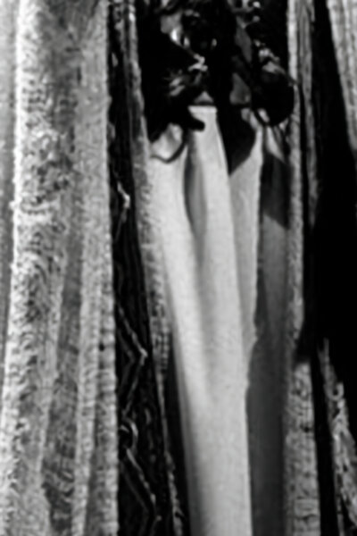 Bedřich Smetana: Libuše