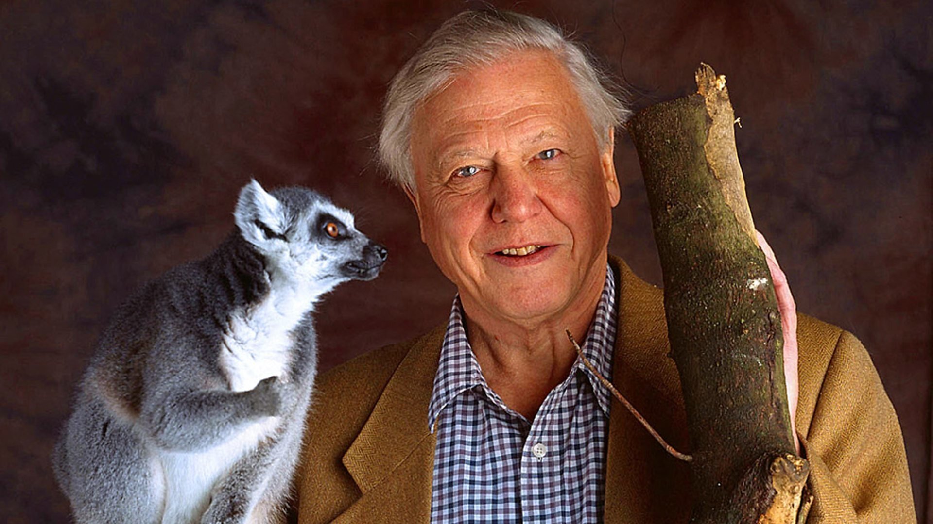 David Attenborough: Život savců
