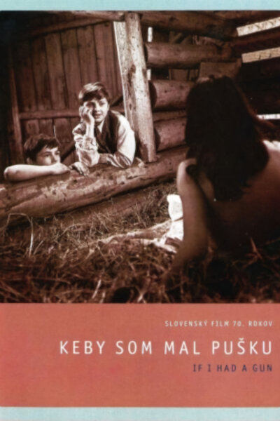 Keby som mal pušku