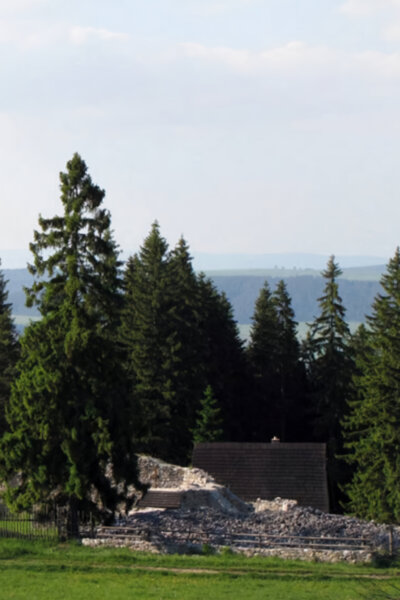 Návraty k divočině