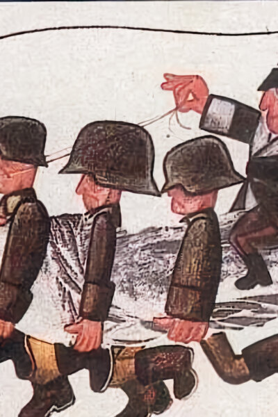 Stepující stonožka