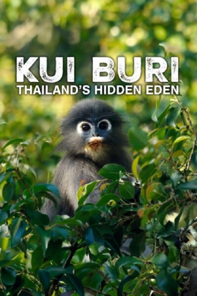 Kui Buri – skrytý ráj Thajska