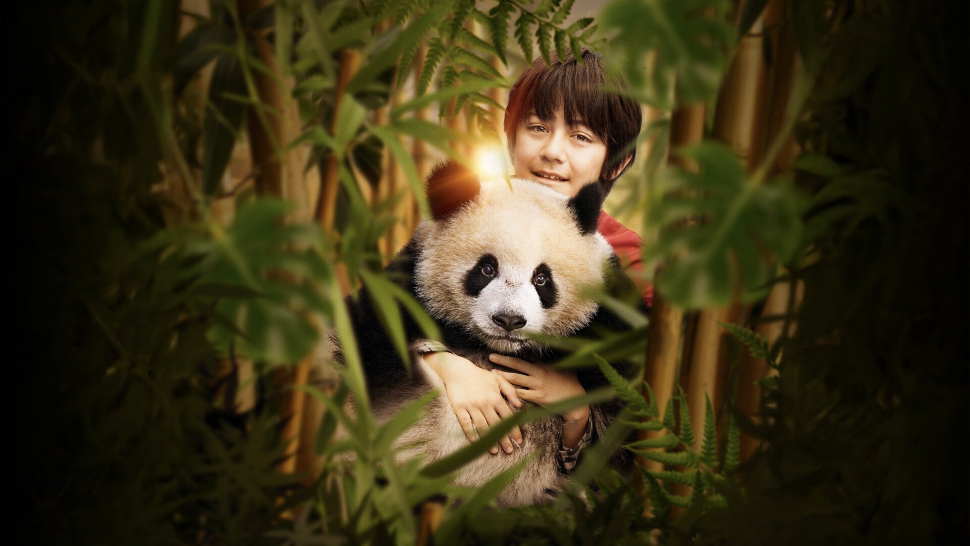 Panda a já