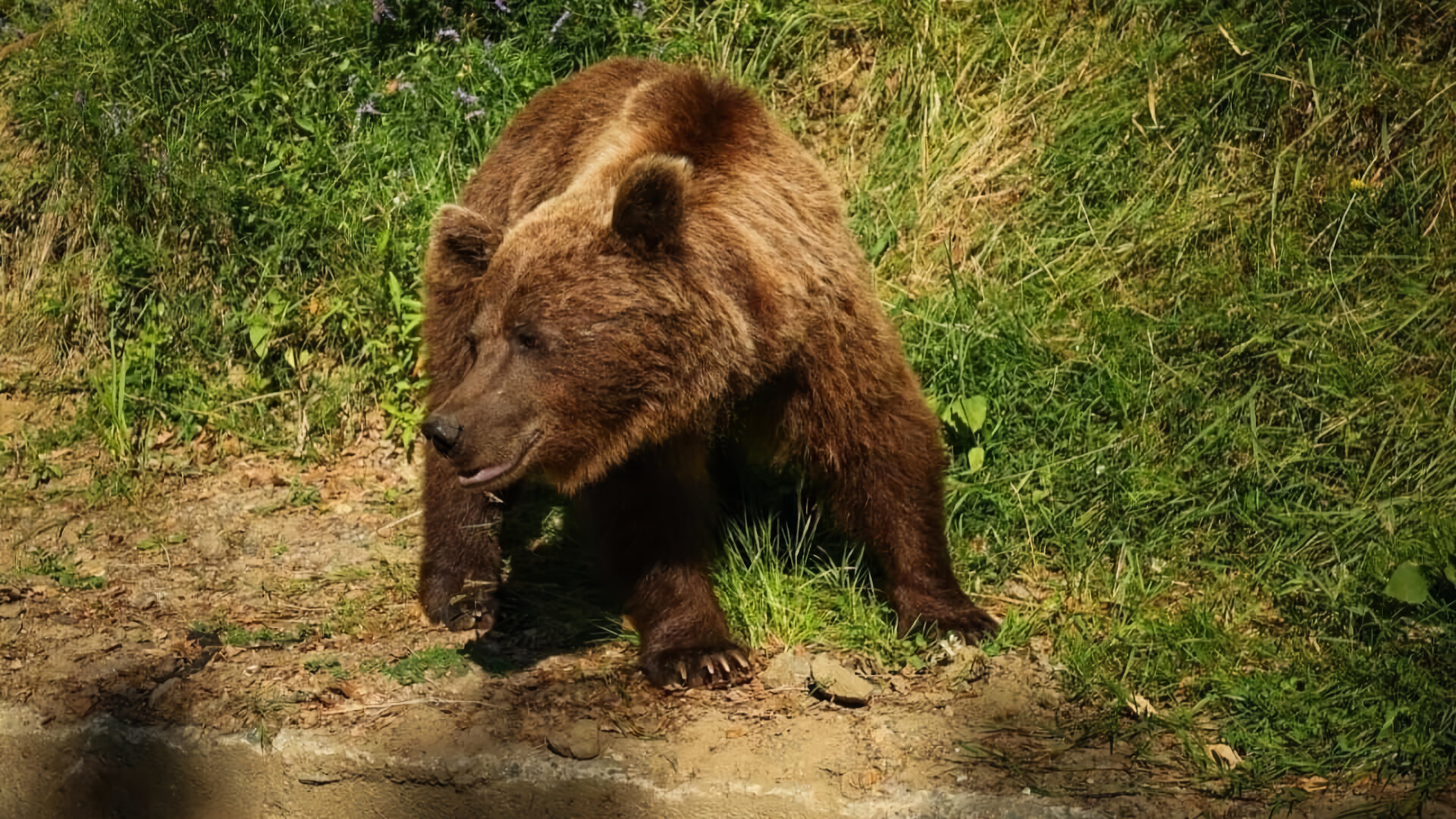 Rumunsko, půvab Balkánu