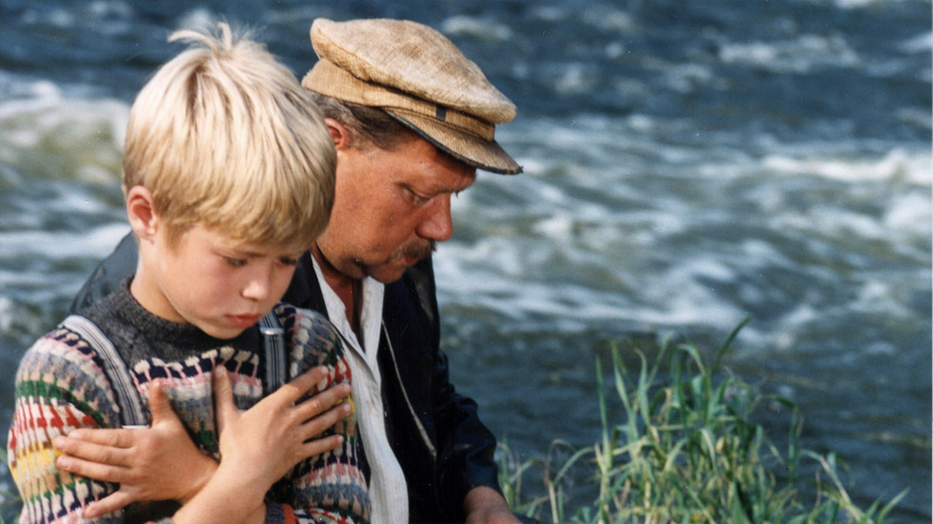 Zlatí úhoři