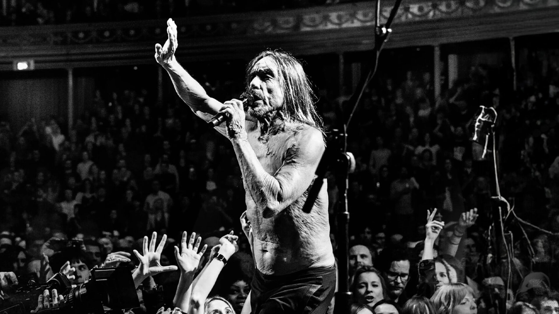 Iggy Pop: Post Pop Depression