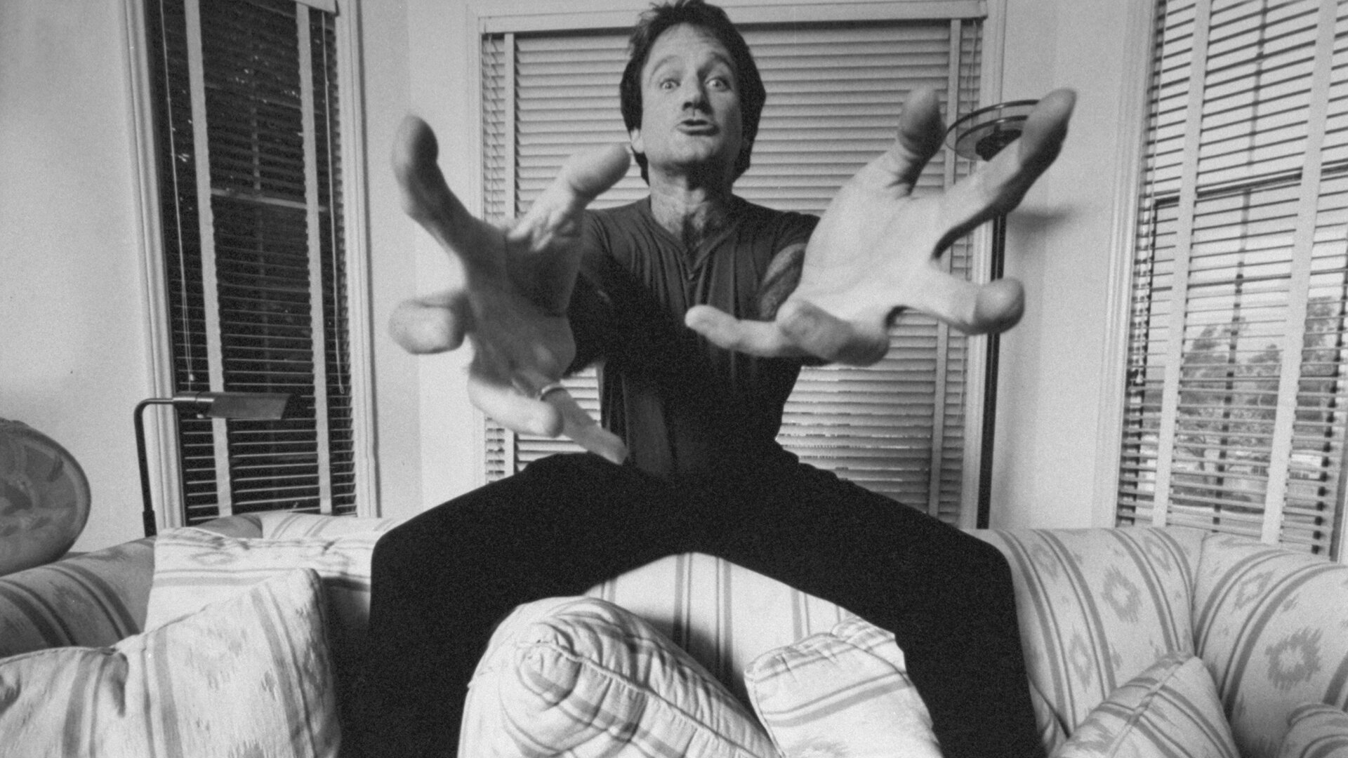 Robin Williams: Mysl na dlani