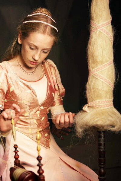 Rozprávky bratov Grimmovcov: Šípková Ruženka