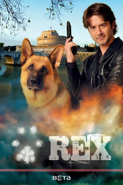 Návrat komisaře Rexe