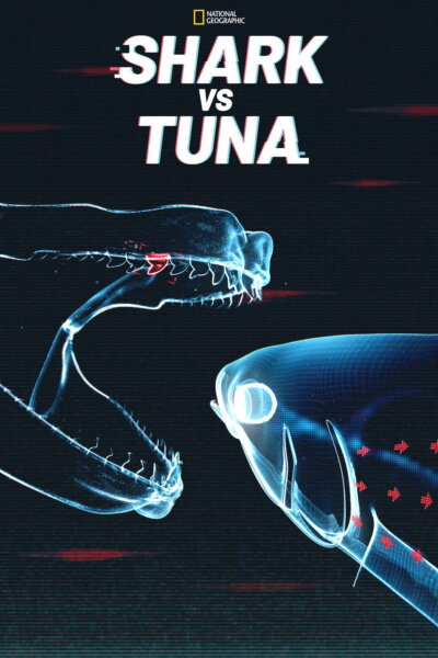 Žralok versus tuňák