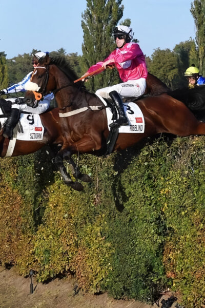 Velká pardubická