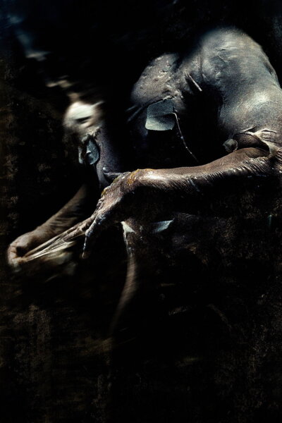 Symptom Pandorum